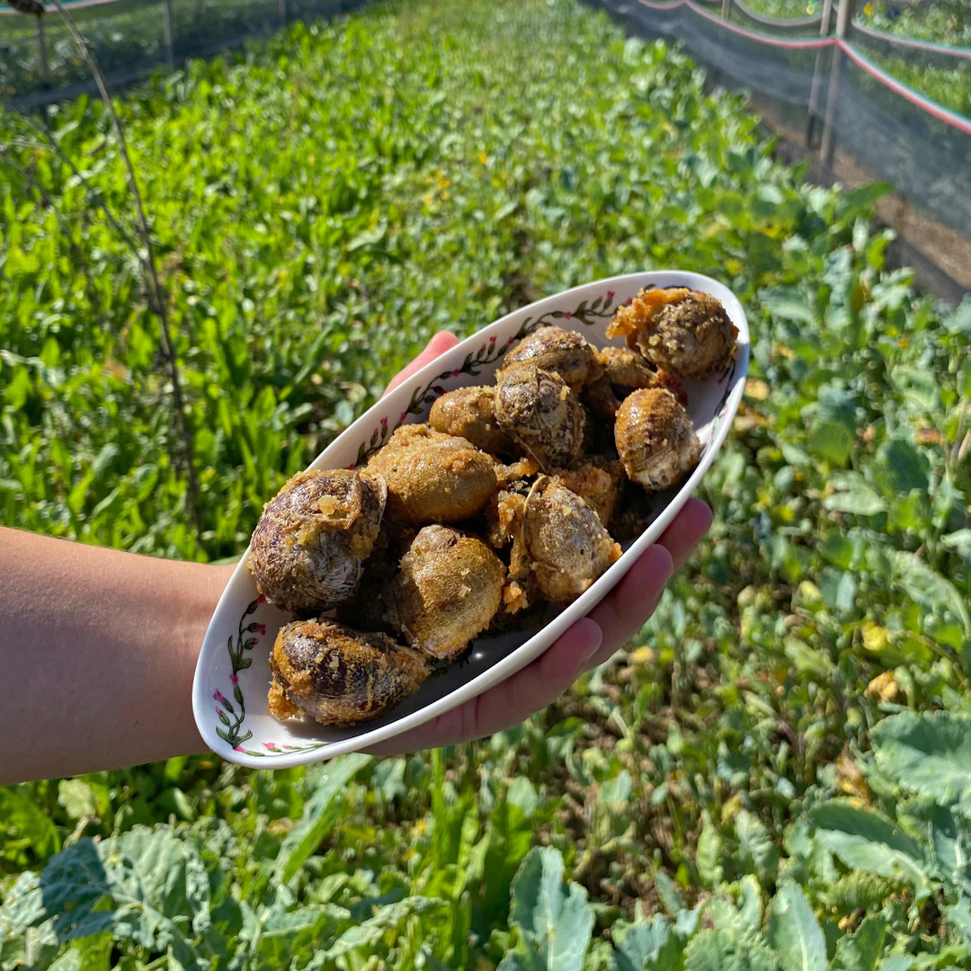 Lumache al forno di nonna Gina